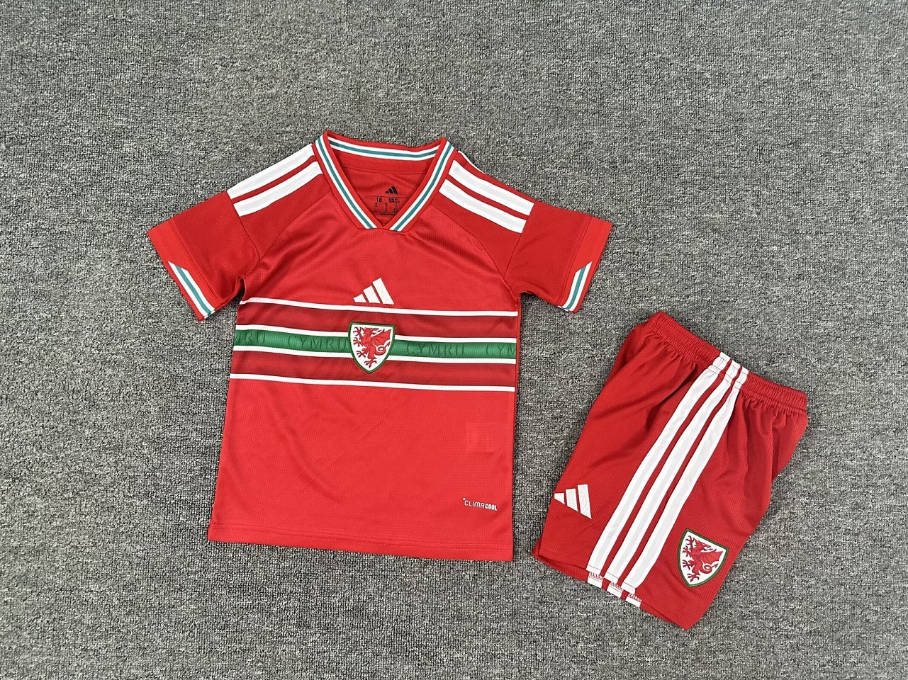 Kids-Wales 2026 World Cup Home Soccer Jersey